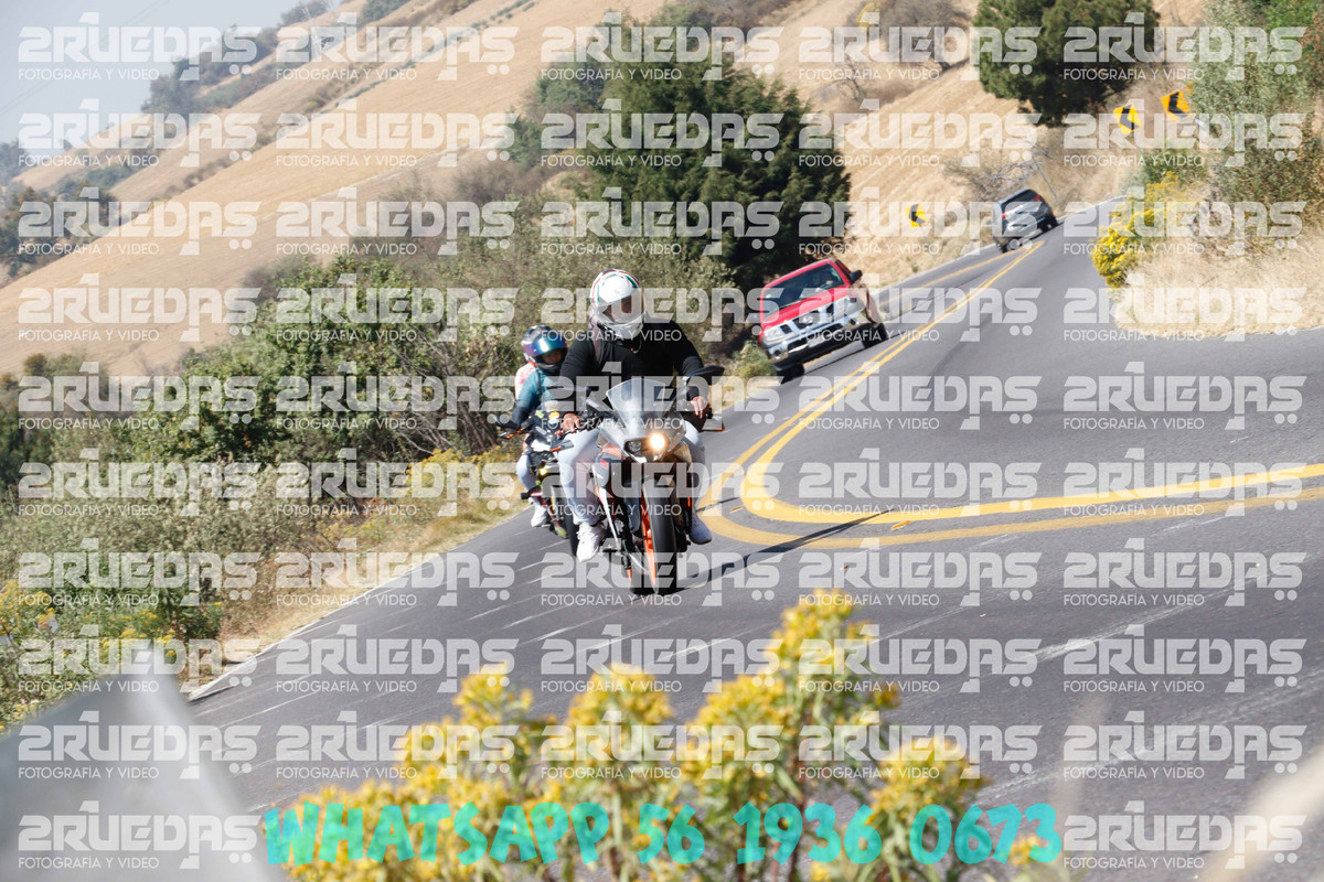 MG 0706 — Postimages