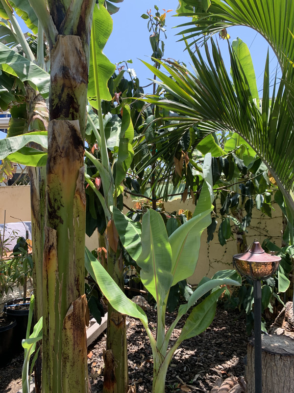 5E49E619-E506-43E2-9A6D-779042B68504