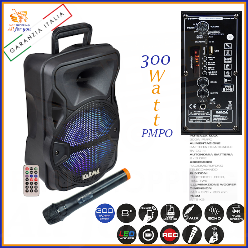 Cassa amplificata bluetooth portatile karaoke professionale attiva con  microfono | eBay