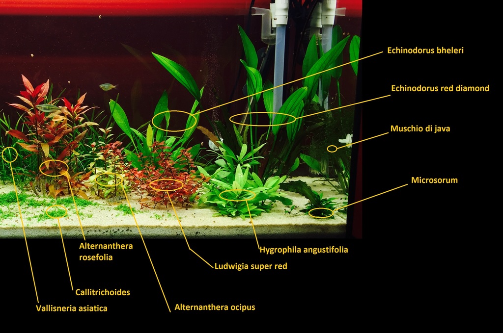 FullSizeRender[2] (2)