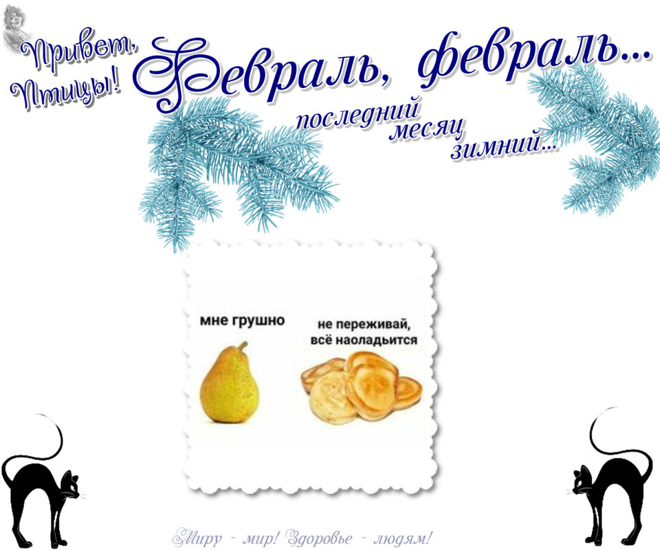 https://i.postimg.cc/1Xm0gych/10-02.png