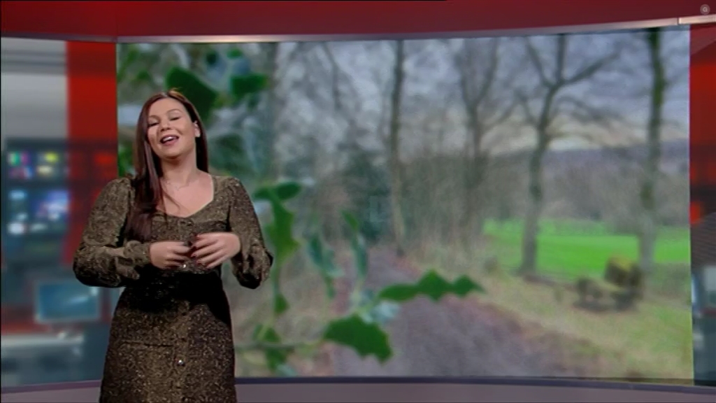 12.28 - 13.15.00 - Look North (Yorkshire) The latest news, sport and ....ts_snapshot_13.42.424