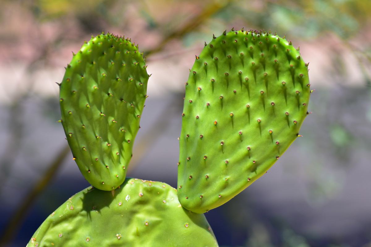 7B8C39ED-8BE2-4E18-B2C5-97FF2F8F0924