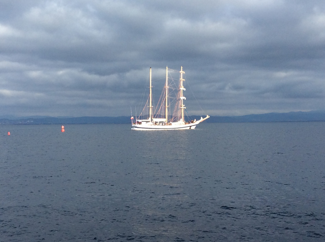 93FB38A1-DFD8-4BC1-86A9-B748565FB690