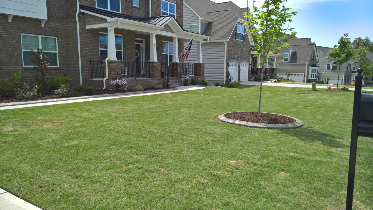 WP_20160508_11_35_23_Rich