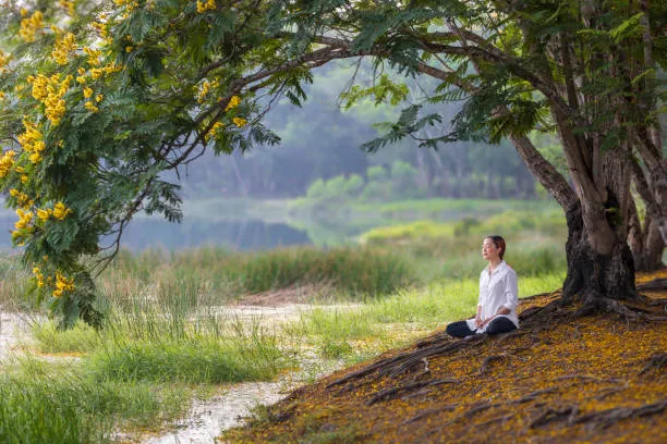 What Is a Riverside Meditation Garden