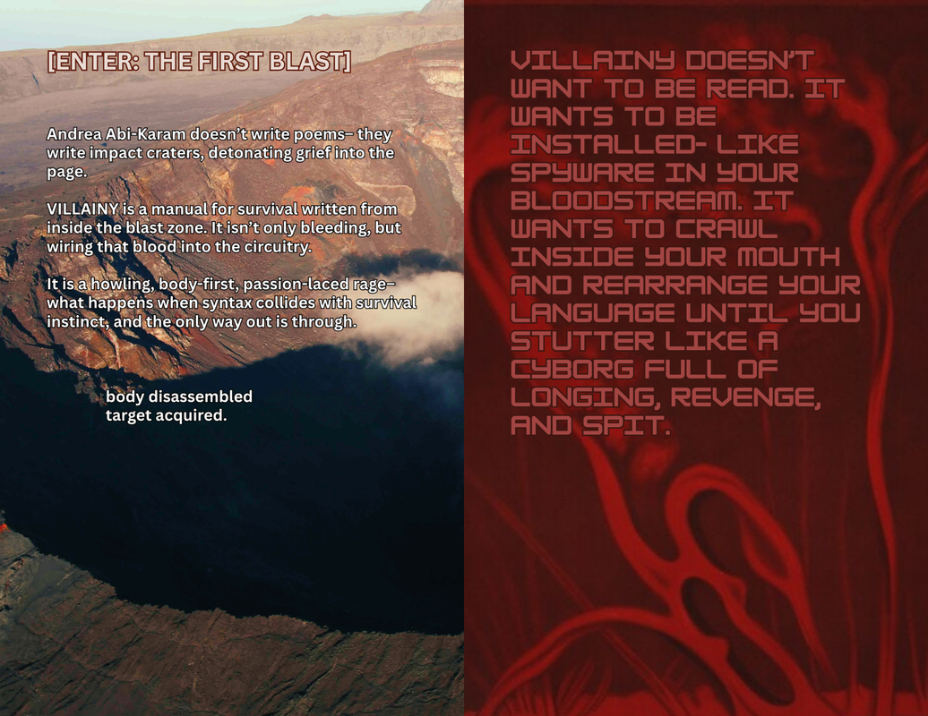 The first and second page of a zine titled 'Villainy // System Malfunction - Survival Strategy'.