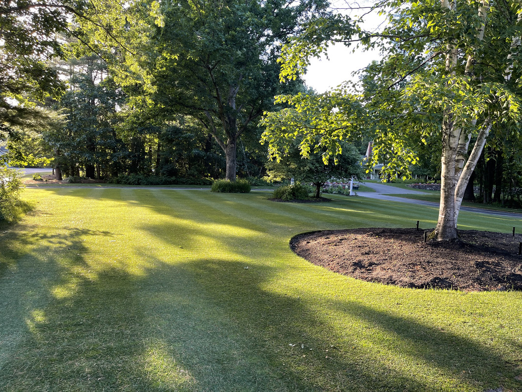 Washboard Effect Lawn Care Forum