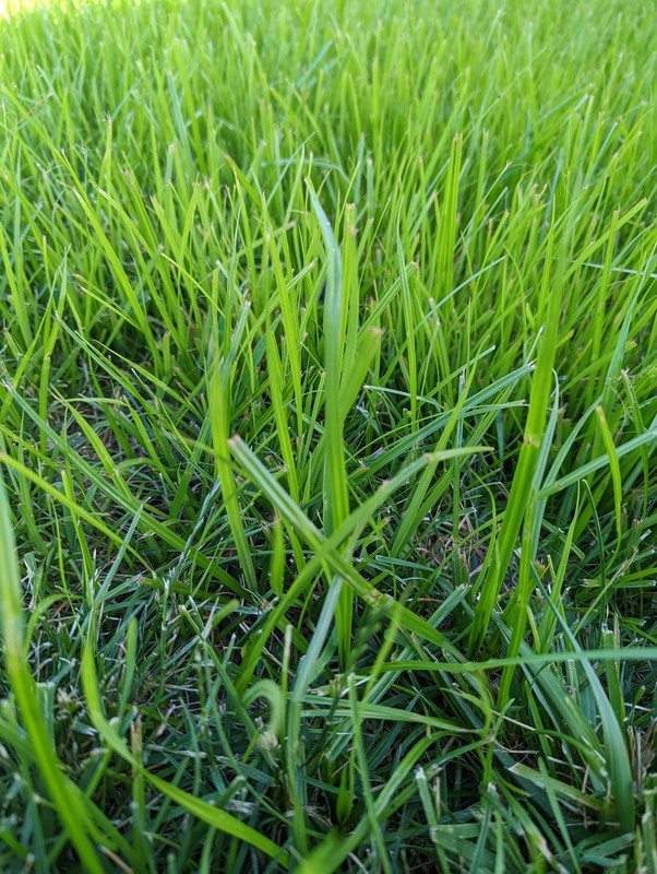 PXL-20220622-233115466.jpg