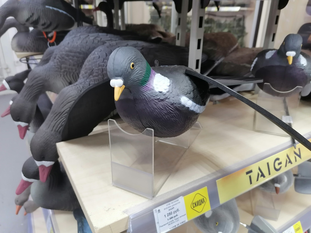 IMG_20240402_115216[1]