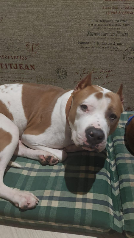 FD5A1ECB-58C9-49F0-94D5-7573D5A8DE14