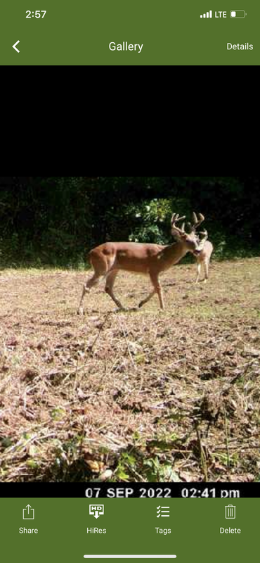 22C3D3E0-84A8-4F25-BF56-F6CDE0B17DE9