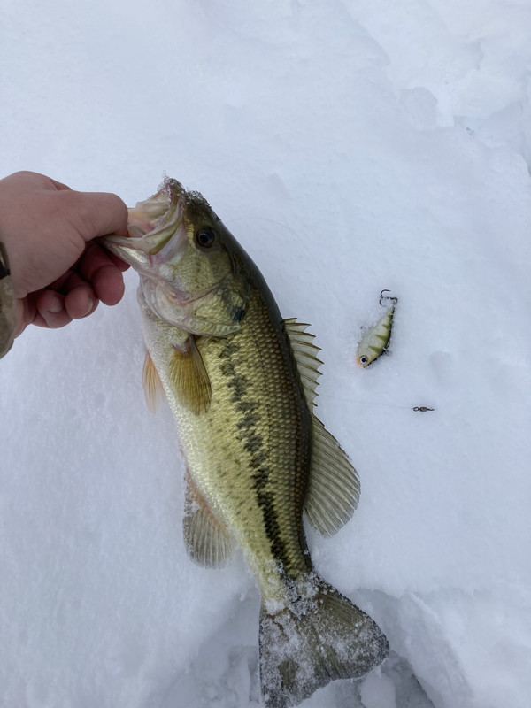 557352E7-9698-49C5-BB09-3AC28BBFD7B5