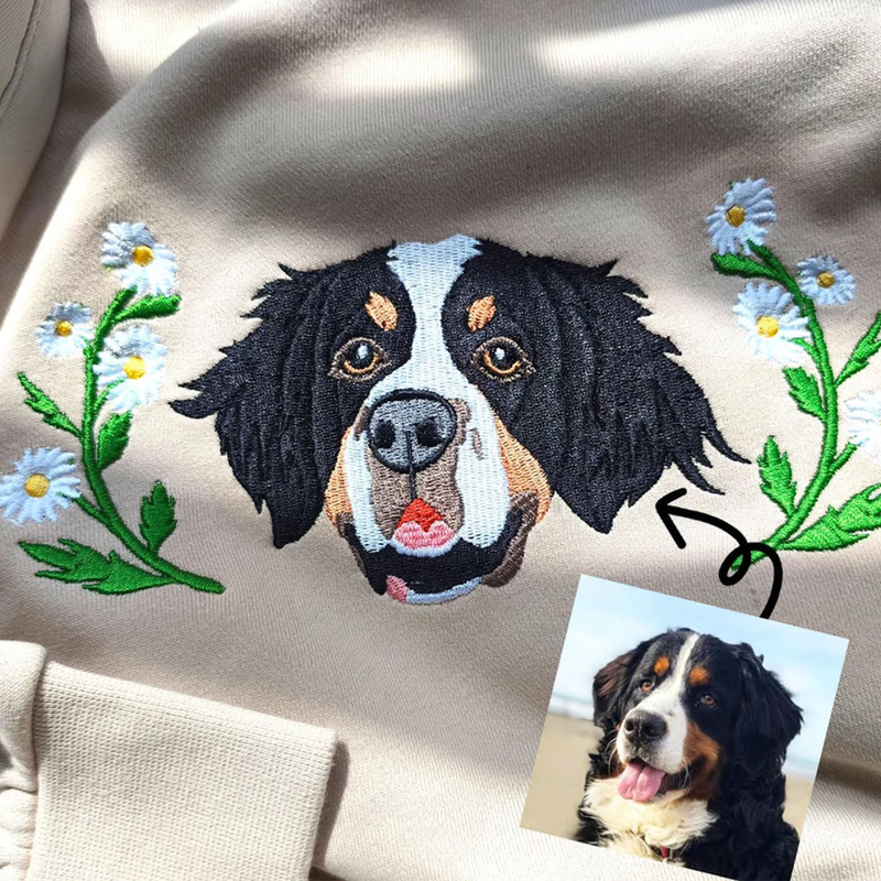 pet embro