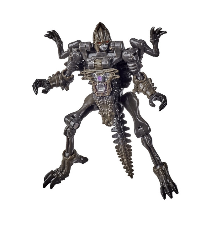 TF-Kingdom-Official-Pics-013