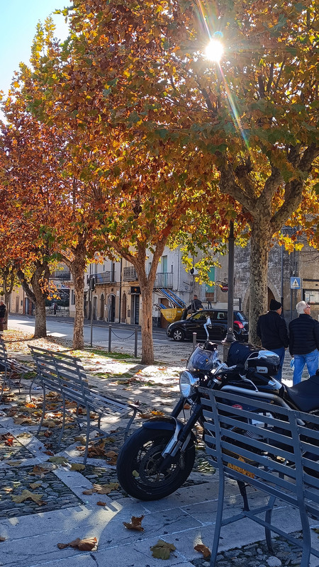 IMG_20241128_112548low