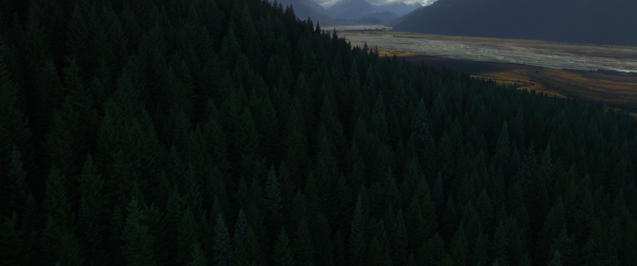 vlcsnap-2025-04-01-14h08m49s596