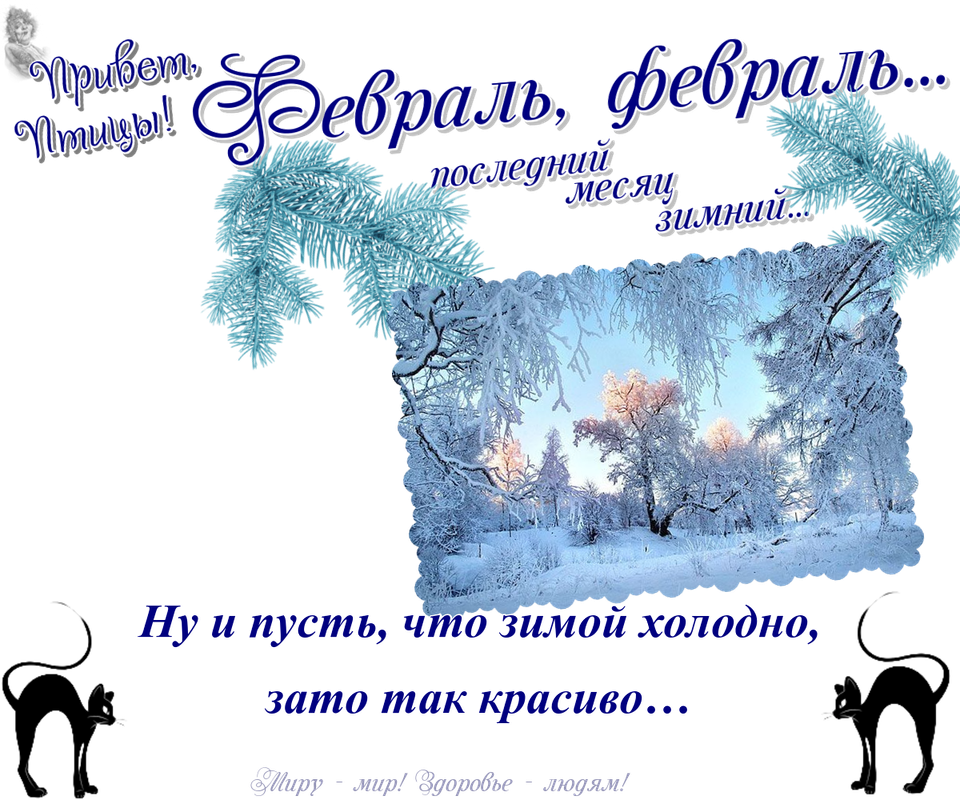 https://i.postimg.cc/1XpL1KyM/09-02.png