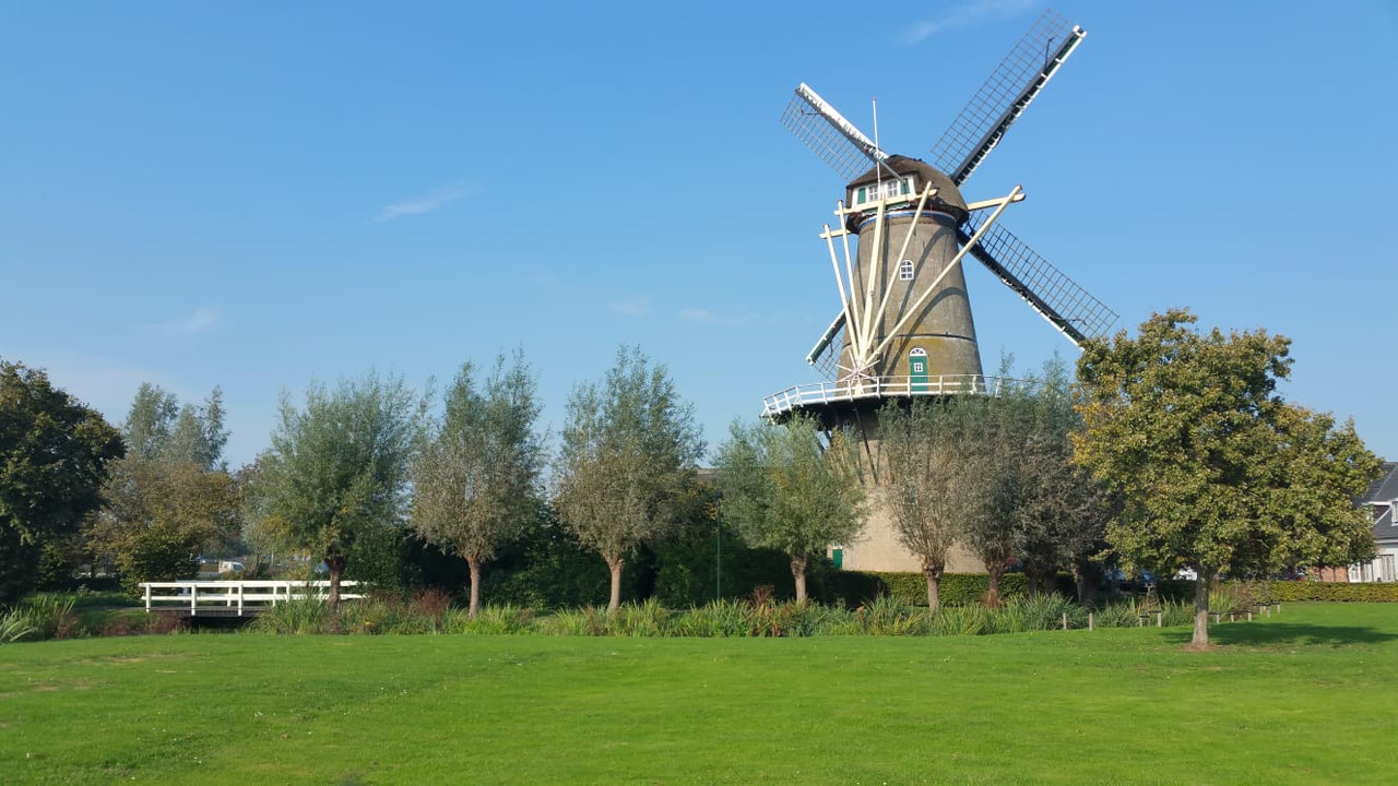 Pieter, Den Arend 01 Bergambacht 06-10-2018