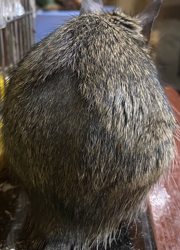 B88E2FC0-0278-4BA2-8CD3-72C30F73EA2F