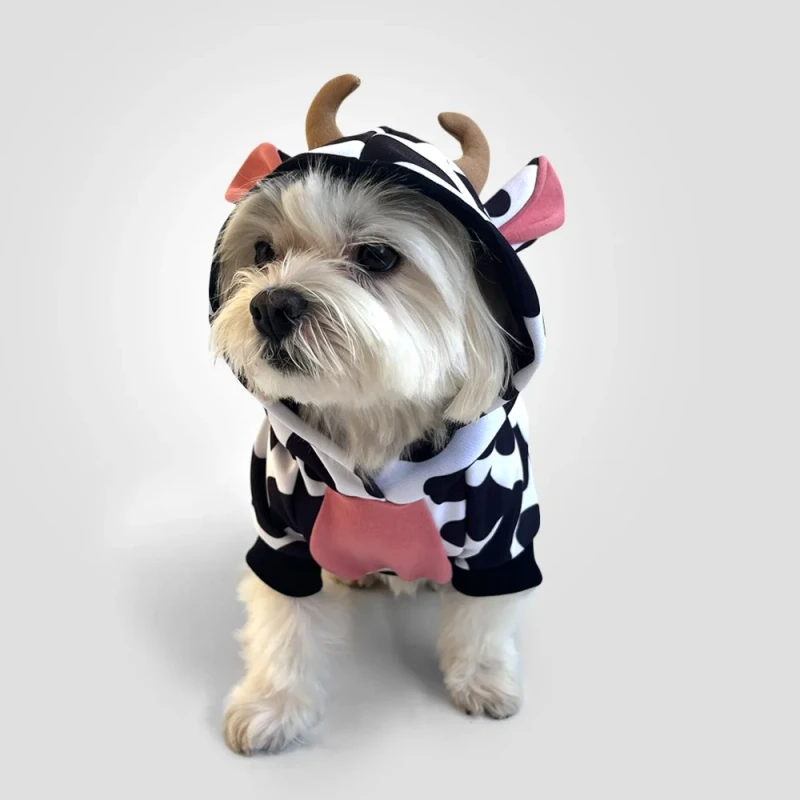 Roupa pet 5