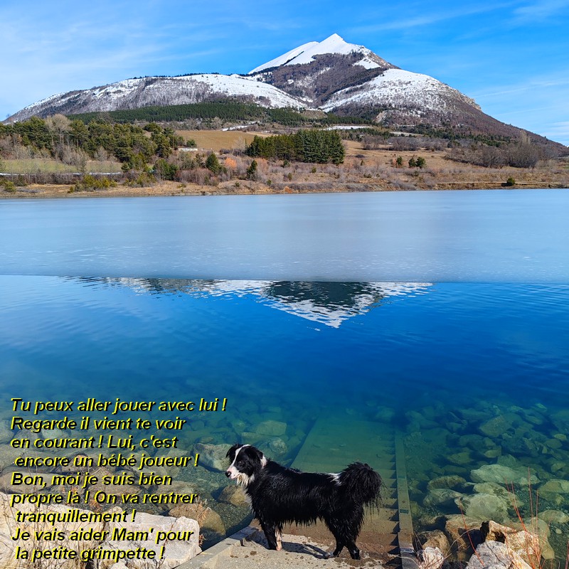 IMG-20260222-122530bb