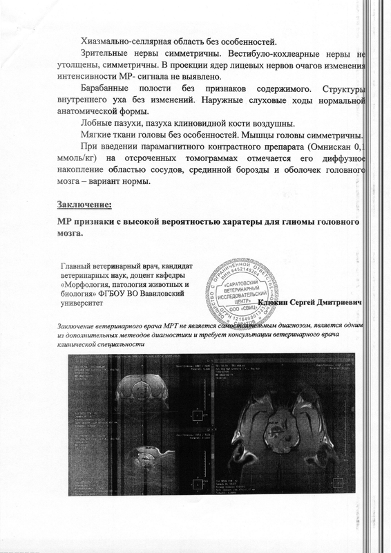 Document (294)1