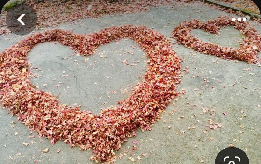 Screenshot_20240214_175657_Pinterest