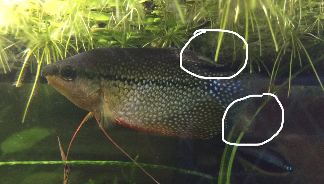 60917476-B826-41B8-8C5C-E7FACD755676