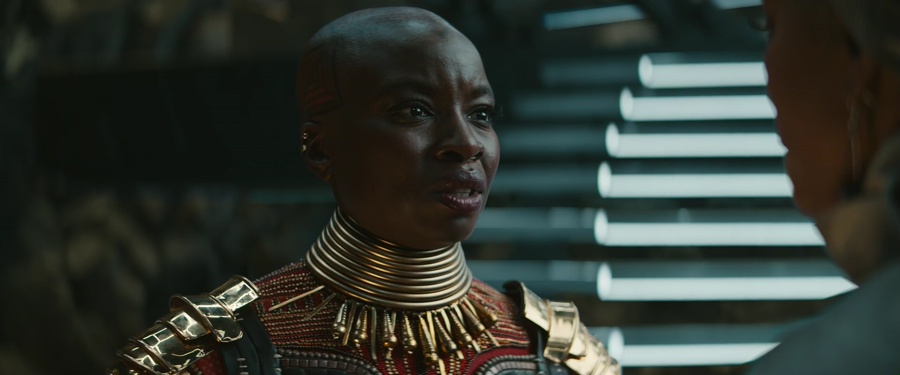 Black Panther: Wakanda Forever 2022 BluRay [Hindi + Tamil + Telugu + Malayalam + English] 480p, 720p, 1080p ESub Screenshot