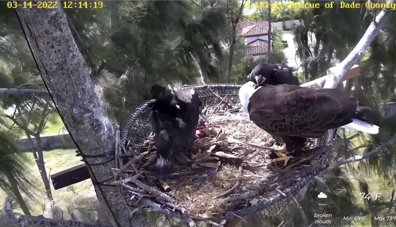 D6349651-7B91-4AAE-960E-91FAD4AA18B1