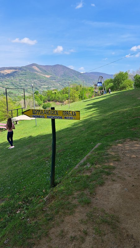 Slika