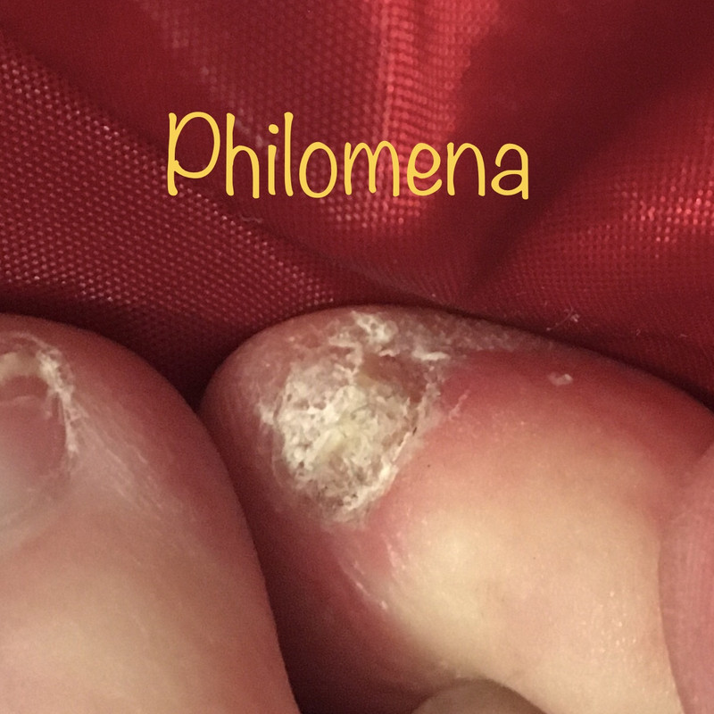 06CE8B3C-CC17-41E3-8ECF-4C0F9B031AC5