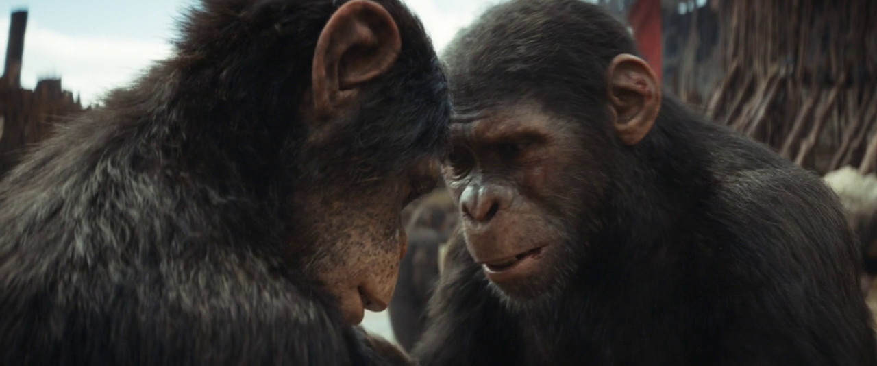 vlcsnap-2024-10-03-09h47m17s971