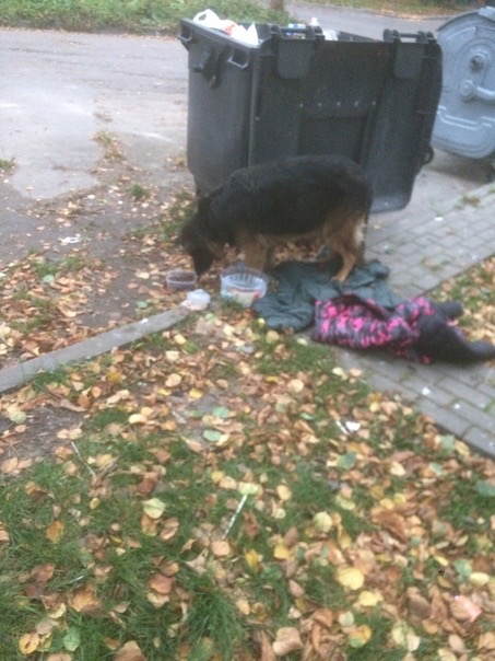 191DBA41-1A98-4B9D-AE42-12F1B9C44DF2