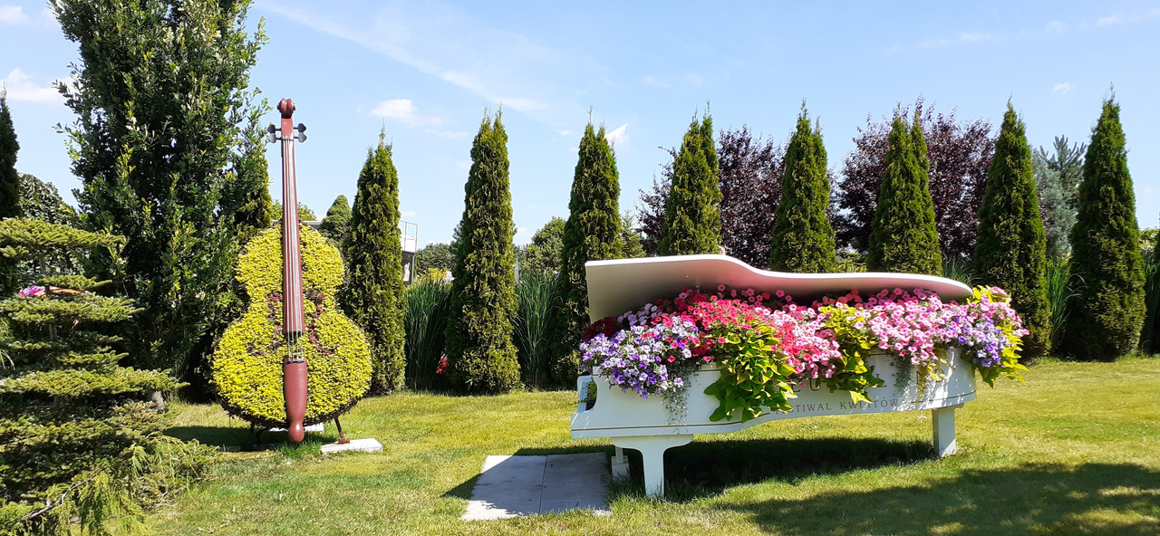 016 - 20200801_124349