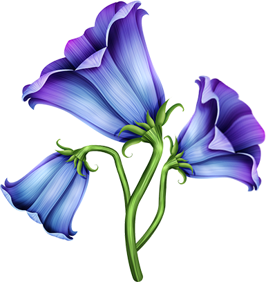 KBK_InTheSpring (93)