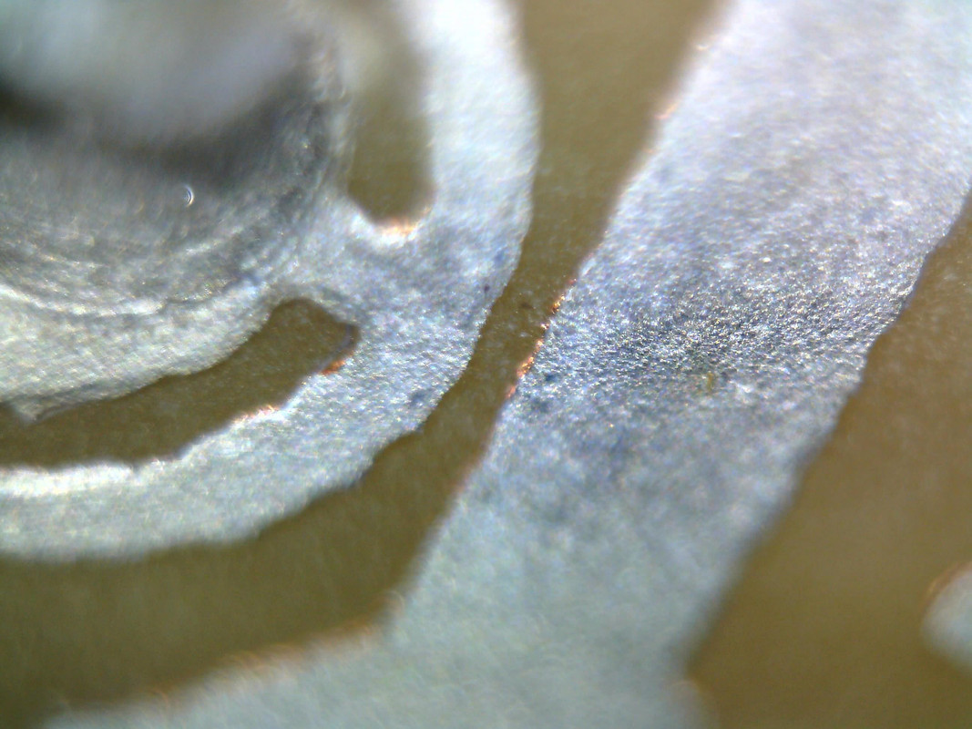 Изображение 008