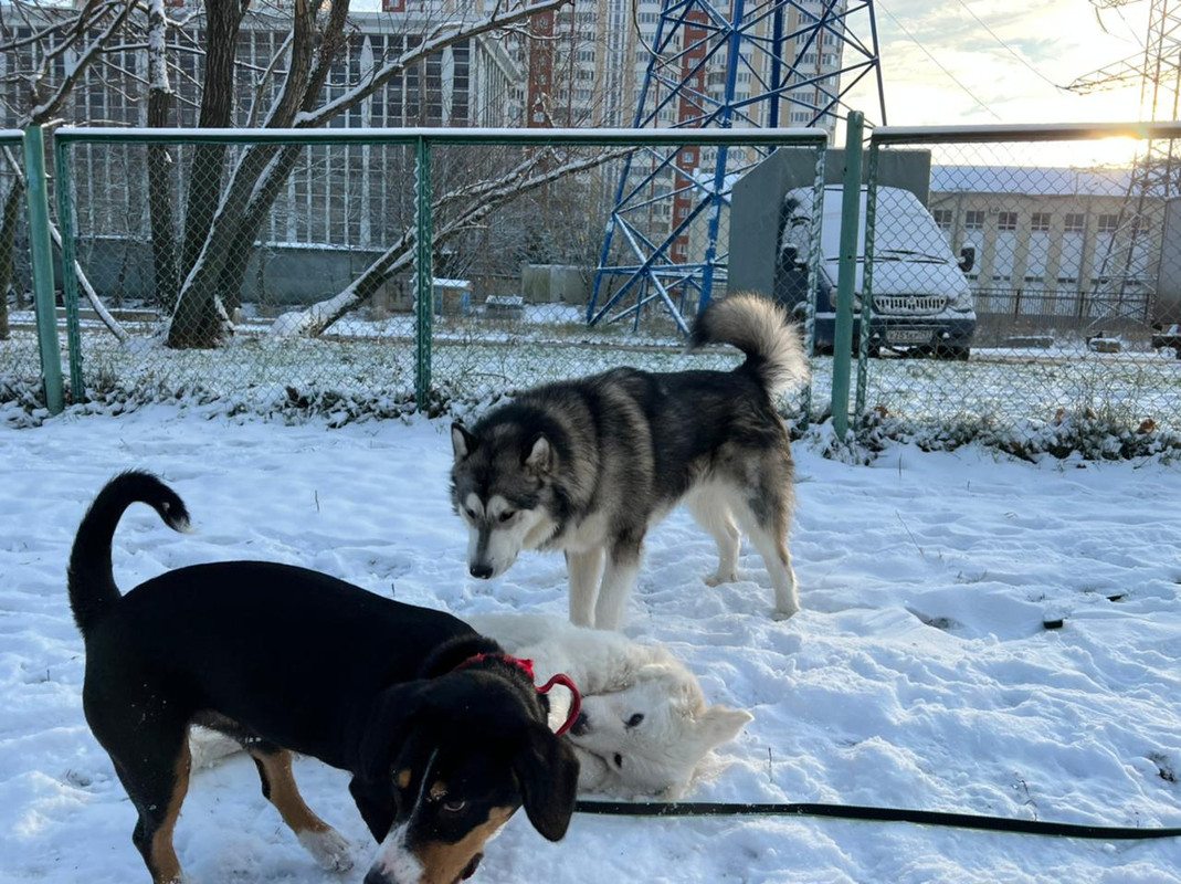 D833EA23-BC02-444F-9903-3070623ECC91