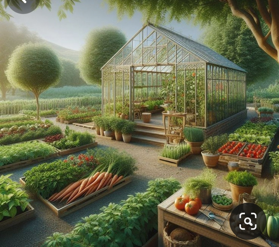 Screenshot_20240507_173846_Pinterest