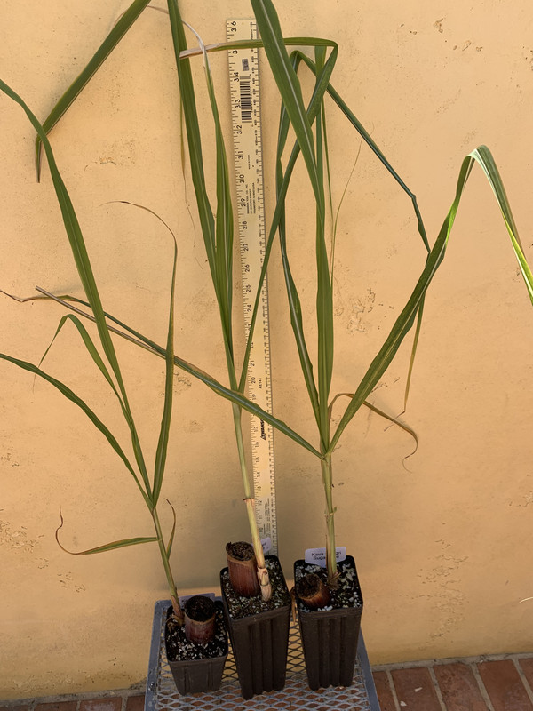 9124FBA4-45FA-499B-966C-7C0B9B0FB5D1