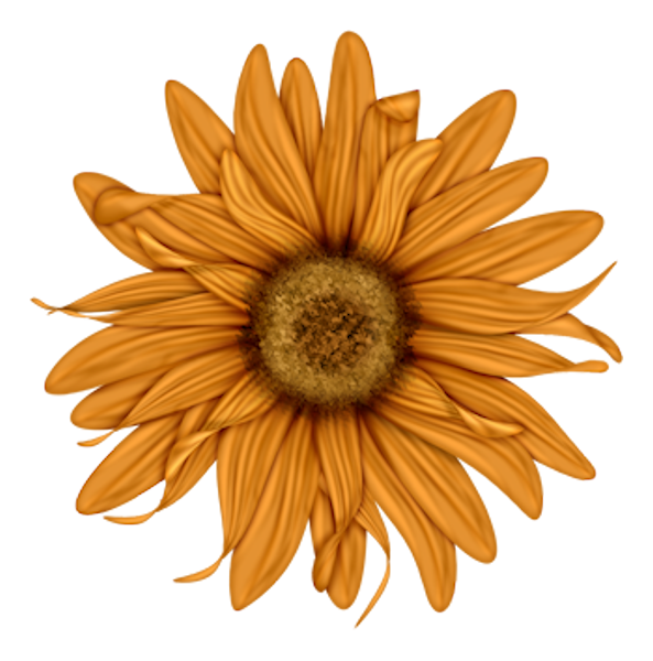 TADD_elements_ShimmerFall (90)