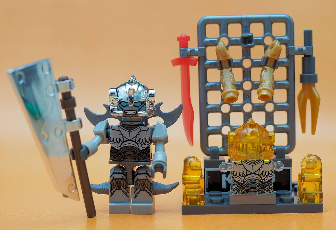 10603840_10204783896295292_3711217494205442630_o