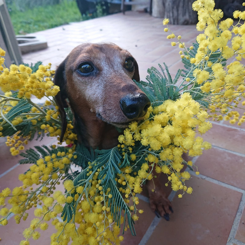 [Image: IMG-20250501-080006.jpg]