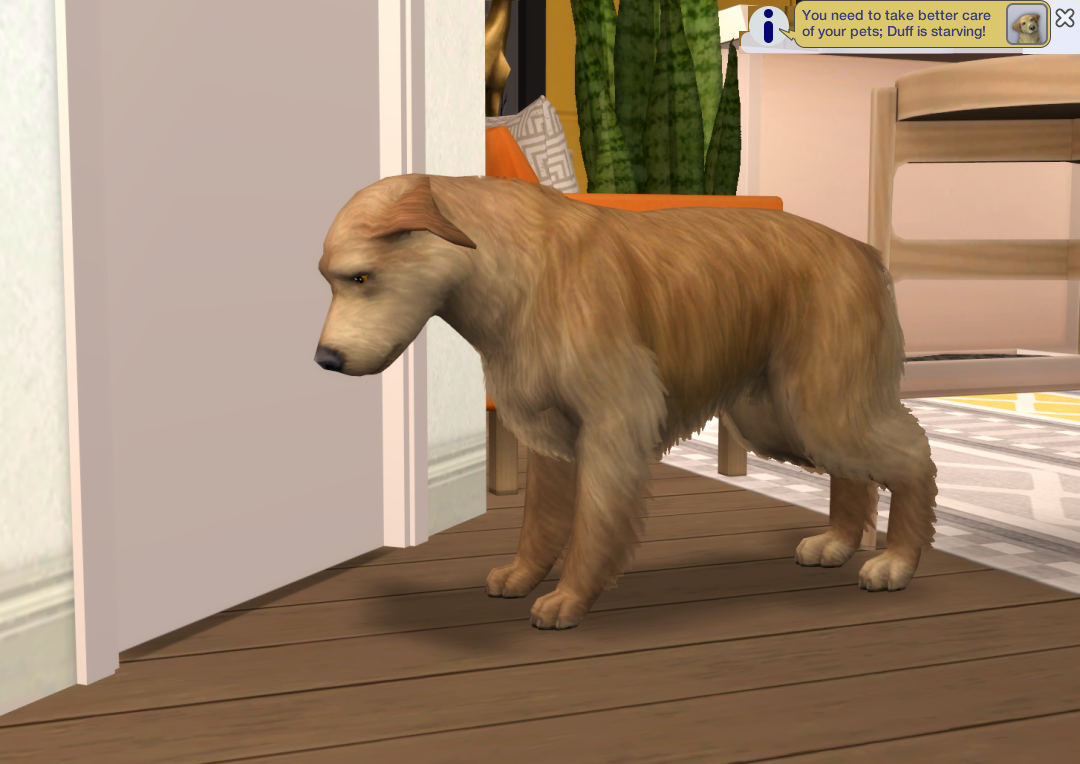Sims2-EP9-RPC-2023-03-13-16-12-17-62