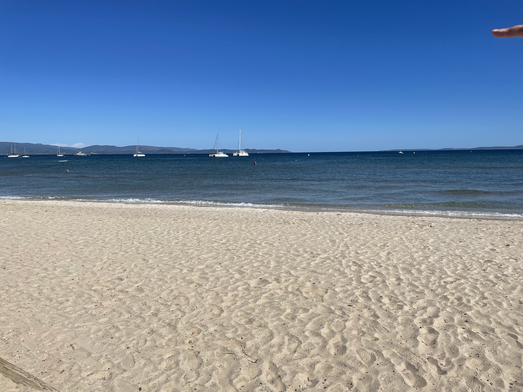 8009E68D-2C7D-4B31-9307-763EFAA7535F