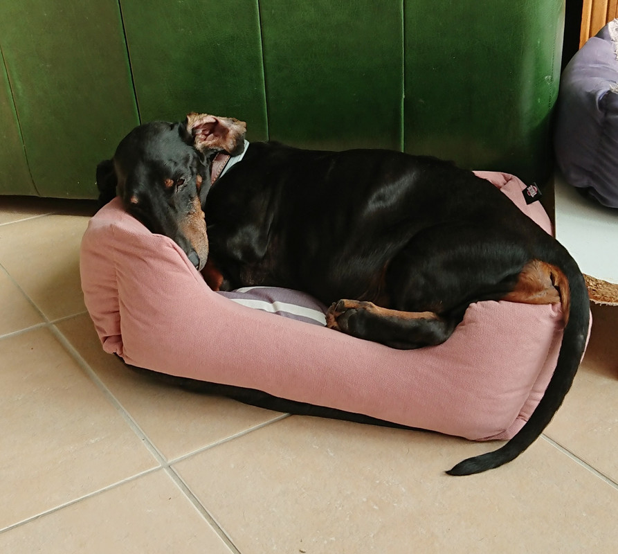 [Image: 20220904-110443.jpg]