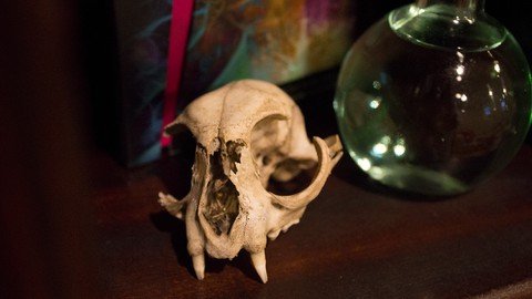 Bone Divination: Fortune Telling With Bones
