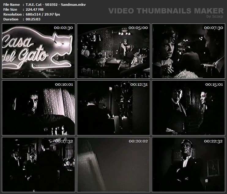 T.H.E. Cat - S01E02 - Sandman.mkv