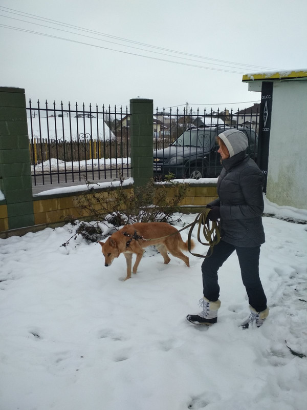 изображение_viber_2019-12-31_13-23-22